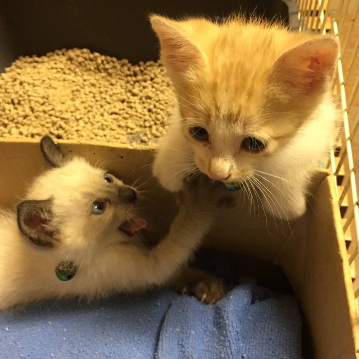 A47bc7bc 82af 4af3 b44c 7bb774c125c9 1572516340446