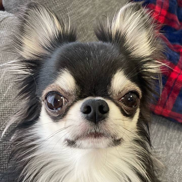 A47bd52e 0787 4c2a 8dc7 fefeec1fe75c 1617489788831