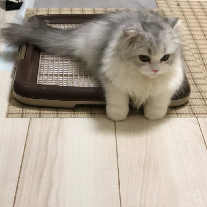 A47bfa47 5369 4e2f a319 664ca535c0ee 1598306826979