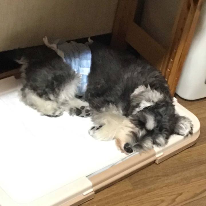 A47c231e 648e 4a56 8ad6 7fa662bc5914 1571556210399