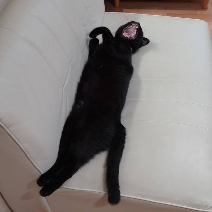 A47cadb1 56e1 4753 8937 b30b567ae27a 1597142832956