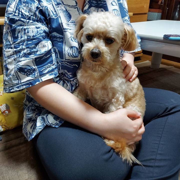 A47cd843 e04b 4ea0 afed b2e27423069b 1626099196269