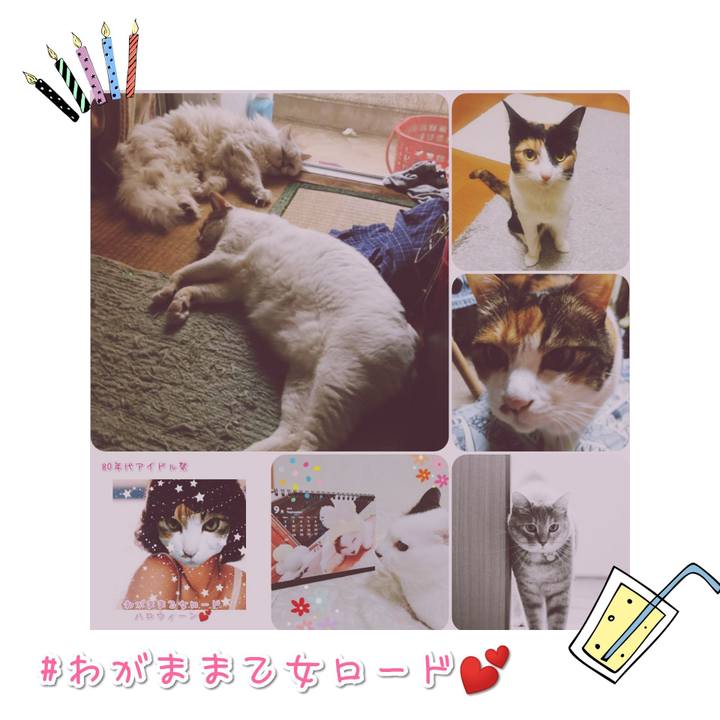 A47ce03d b9ab 41a8 b7bc 1ac3a0c453dd 1567569533649