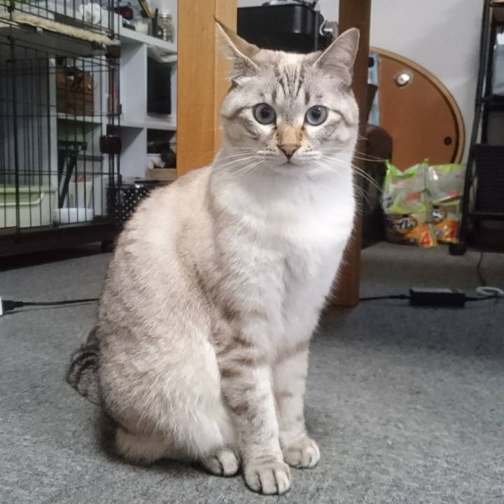 A47cedb9 c6eb 48fc 84df 937af241c792 1509264528266