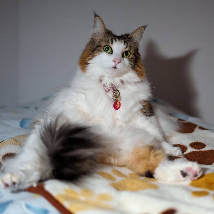 A47d1672 cb38 4bcf 99ff abdd3b0daa8f 1707487023668