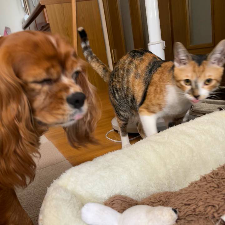 A47d16d6 23d4 44cb bc5c bd6642791e20 1663043546175