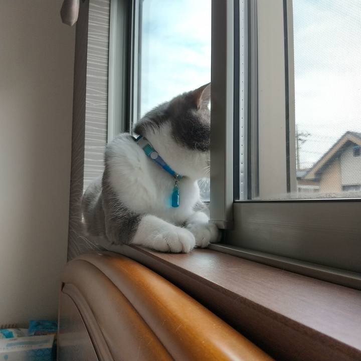 A47d1eda 2a4a 4a0b 84e6 22c6e06870a4 1623458282873