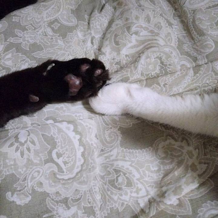 A47d2823 d00b 42b2 a1ad 21d731ff5c1a 1730466534880