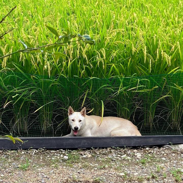 A47d4b18 1c8a 454c b7a6 c3ed7c8b095c 1757776538567