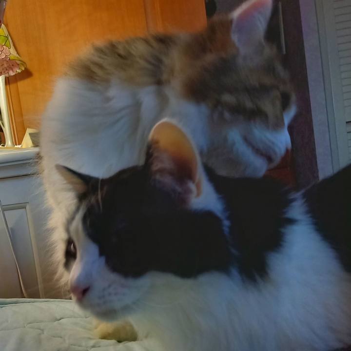 A47d4de6 8151 4fa9 a415 469a03dfef73 1601413225014