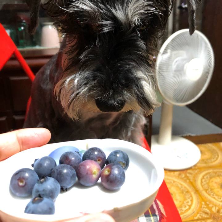 A47d65d1 f321 44da bccd 88bfd2de554d 1687084415880