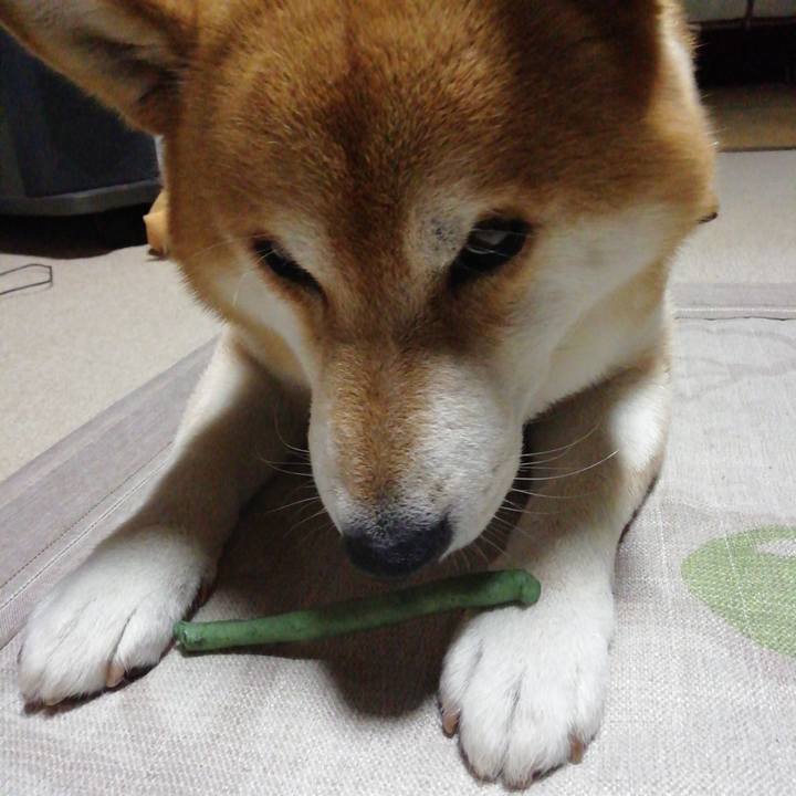 A47dbe3e aedd 4431 9f55 a15ffeb8aec0 1597195675974