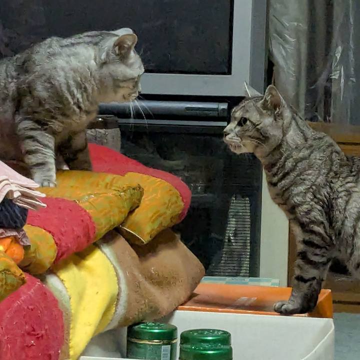 A47dc606 f9c2 4481 8e45 71b06f8fd103 1742045353103