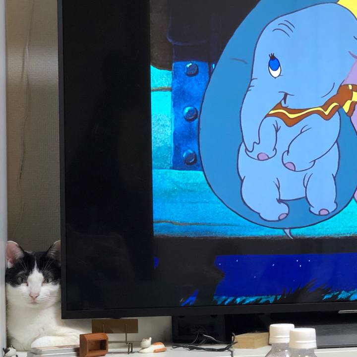 A47deb93 6641 495f bfaf 28f4631a4732 1592021893490