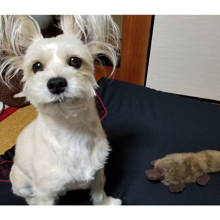 A47e5df1 99b3 473c 8167 c32305c711f3 1527291682810