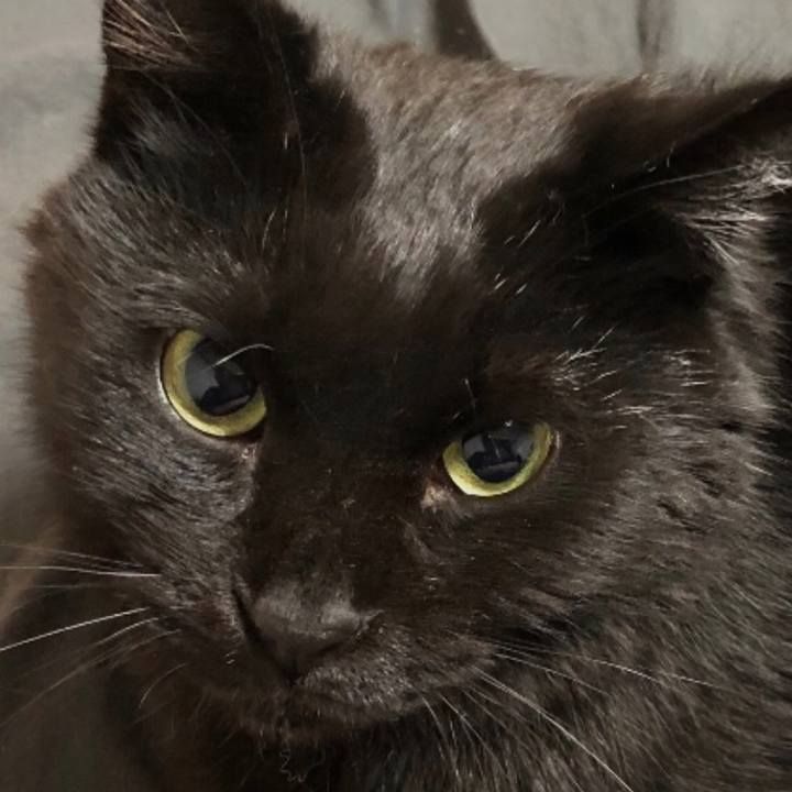 A47e71c7 0d15 40eb b96e 22c1b8c5b777 1648856360681