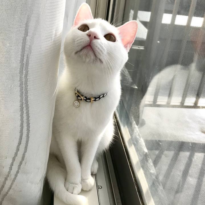 A47e7be6 704c 4257 bc04 b2537b85e00c 1583792821259