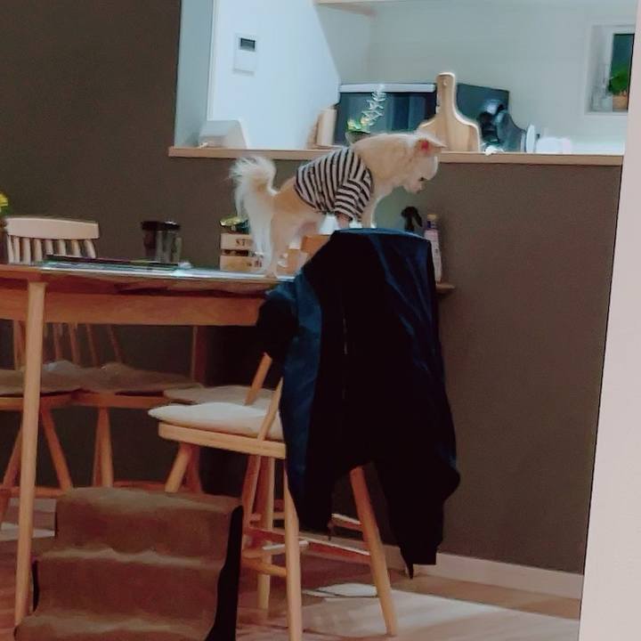 A47ea32c 1019 448a ba49 4150eed20479 1701434593266