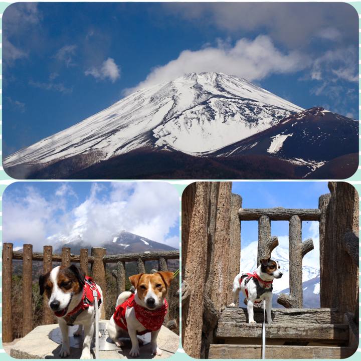 A47ea6b3 87f6 4330 8d5d 5a46035e606f 1556792278973