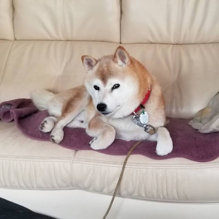 A47eb011 7d8b 4b50 9590 3034e02cd2b1 1720216698692