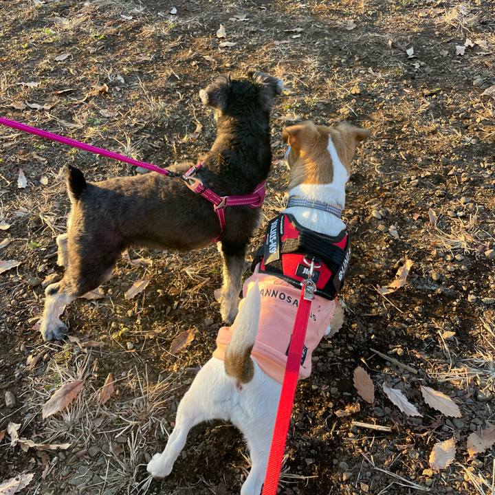 A47edb36 3e57 4759 ab1b f21cb201a9b7 1672311705000