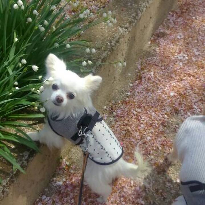 A47edff2 21ae 446b a5a6 0b29ecd56e52 1522900832407