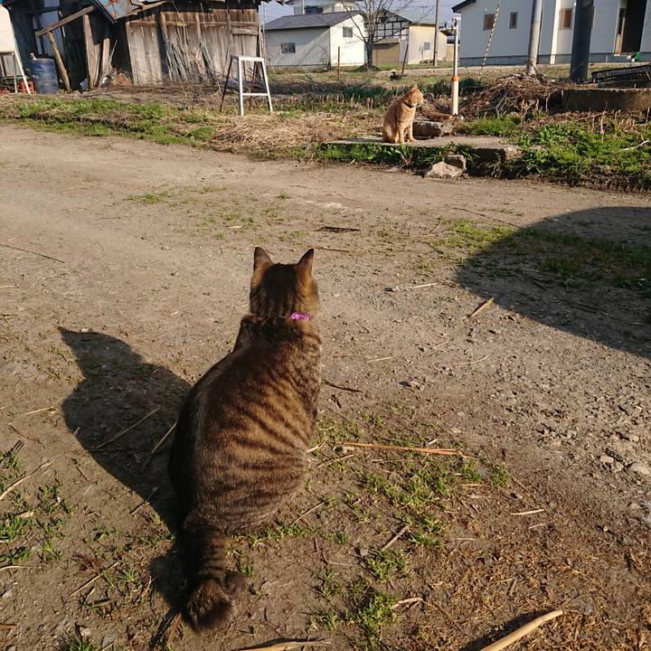 A47ee54a 8cec 40e7 abae 042b3e4fad5d 1650440960819