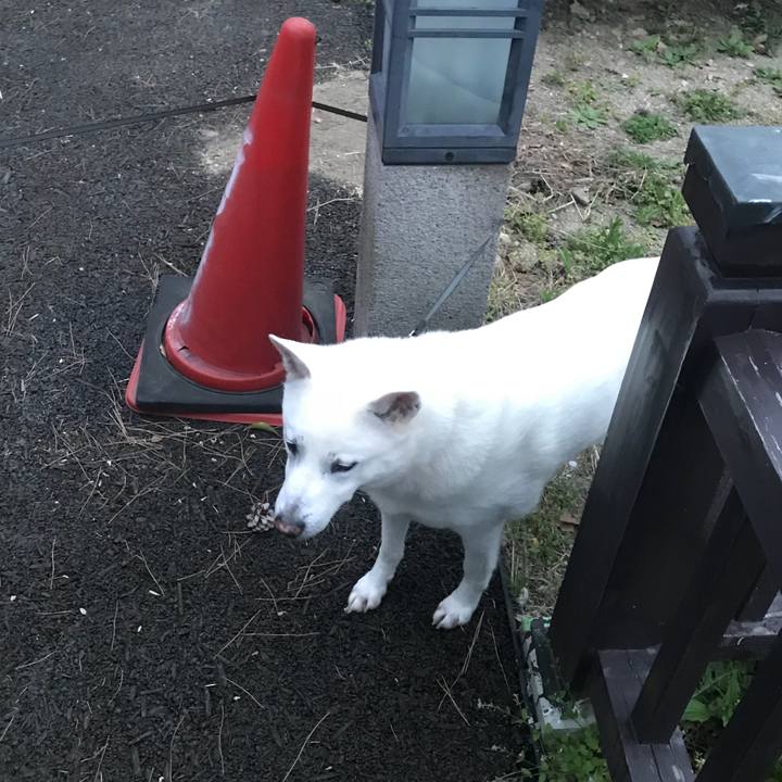 A47f0312 1f95 416f 9e1e ef888762f190 1522841625801