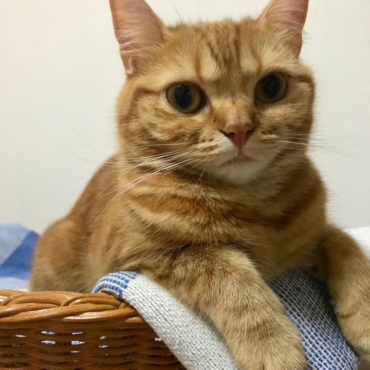 A47f290f f91b 4645 99a9 a2873381526e 1531954056090