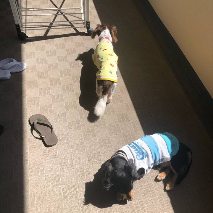 A47f6608 7709 4e84 9668 43b1ca393968 1565741806087