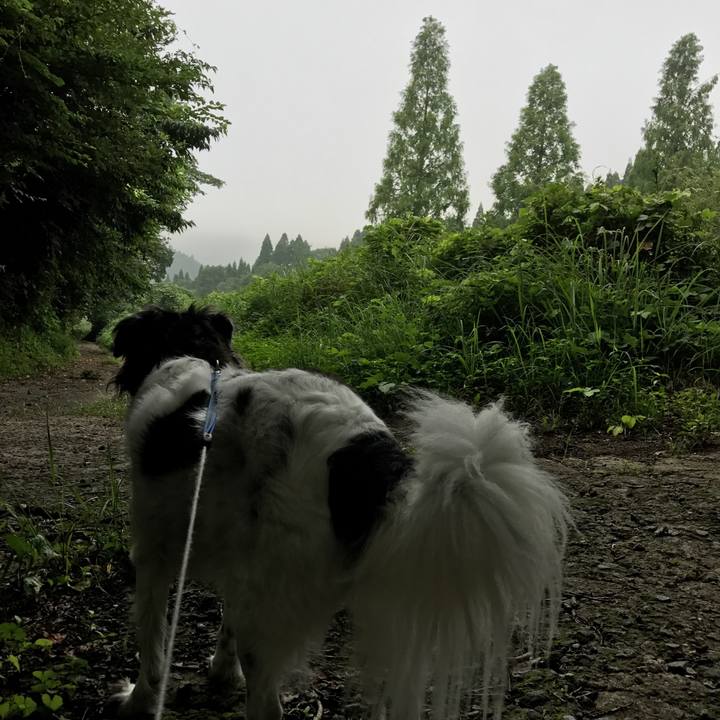 A47ff8ef 2fed 46b7 b1f0 963526be00b6 1533533573864