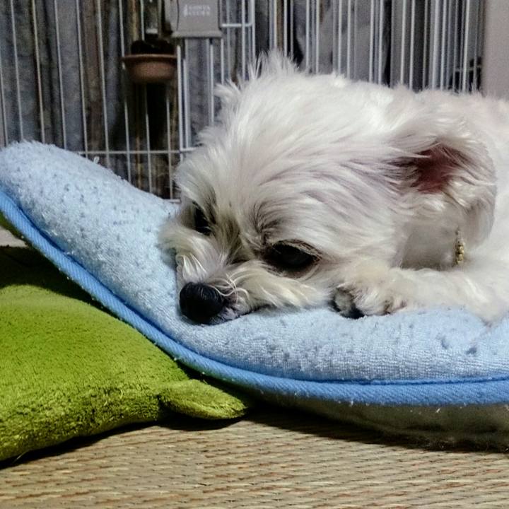 A4800dae 2acd 4627 aed8 7362f56c6c71 1530100700051