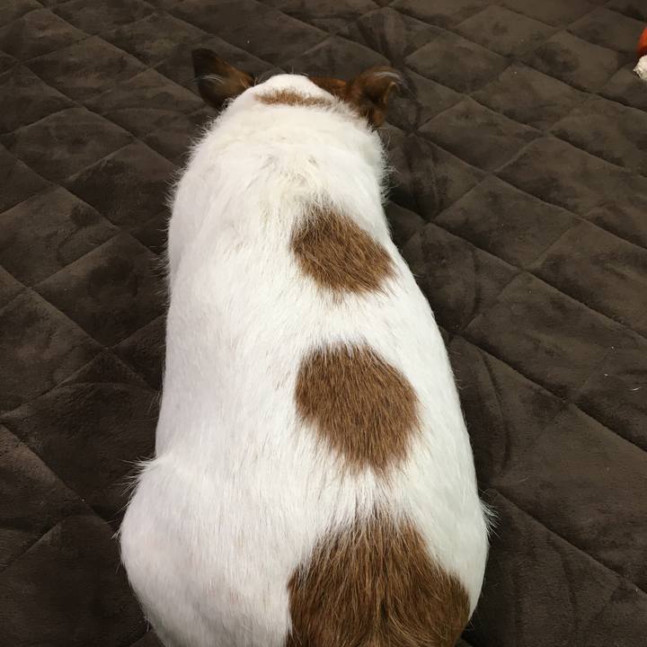 A4801da5 bef0 4d76 81b6 f7f8c633eb5f 1511057766637