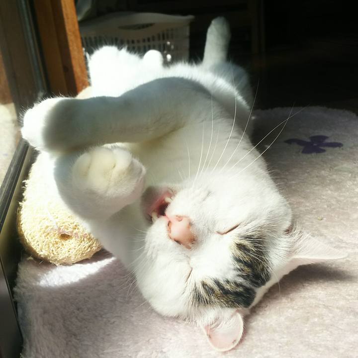 A48059c5 a501 4ed4 9ec7 fe61ddffad1a 1538374246810