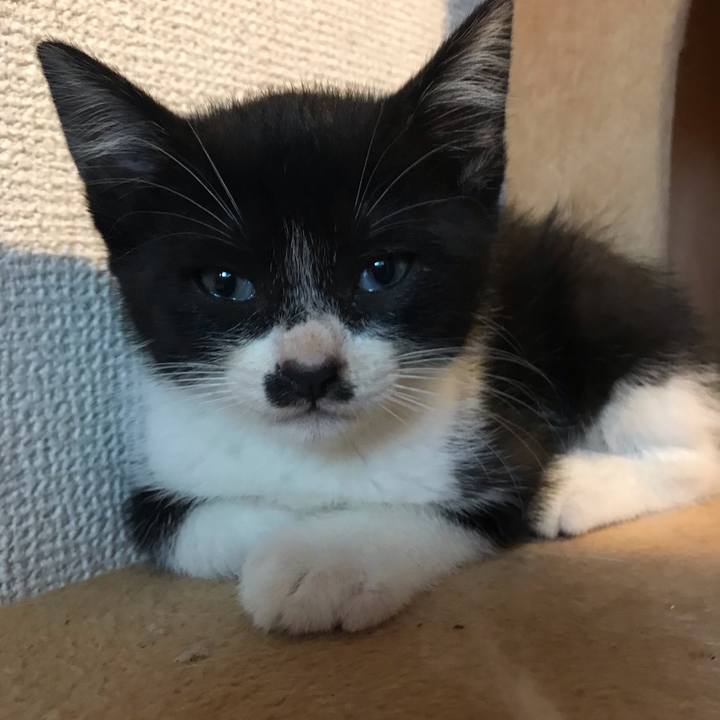 A480b560 b820 45f5 ba6d 70524ec93c72 1595493837186