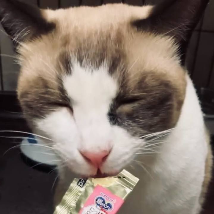 A4816795 1a5c 4394 9fa8 8e38ae62a175 1728483628072