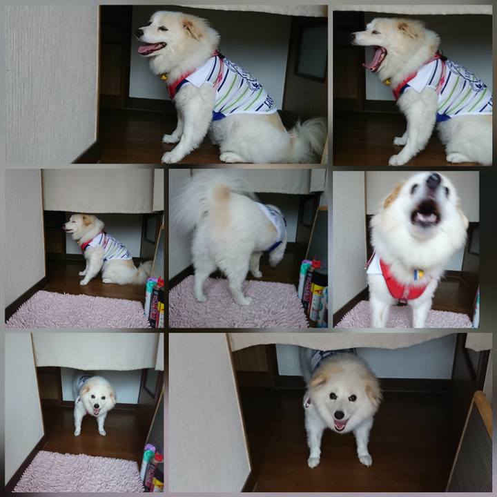 A4817010 e841 4339 bdb1 538f8a835196 1535059615320