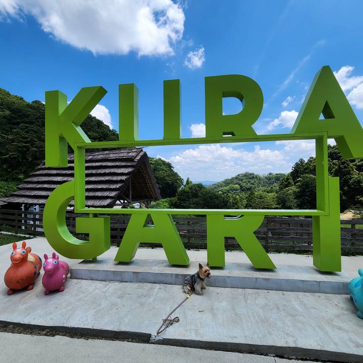 A4817d6a 71fe 4005 b6a4 6c1638349aa4 1753776653314