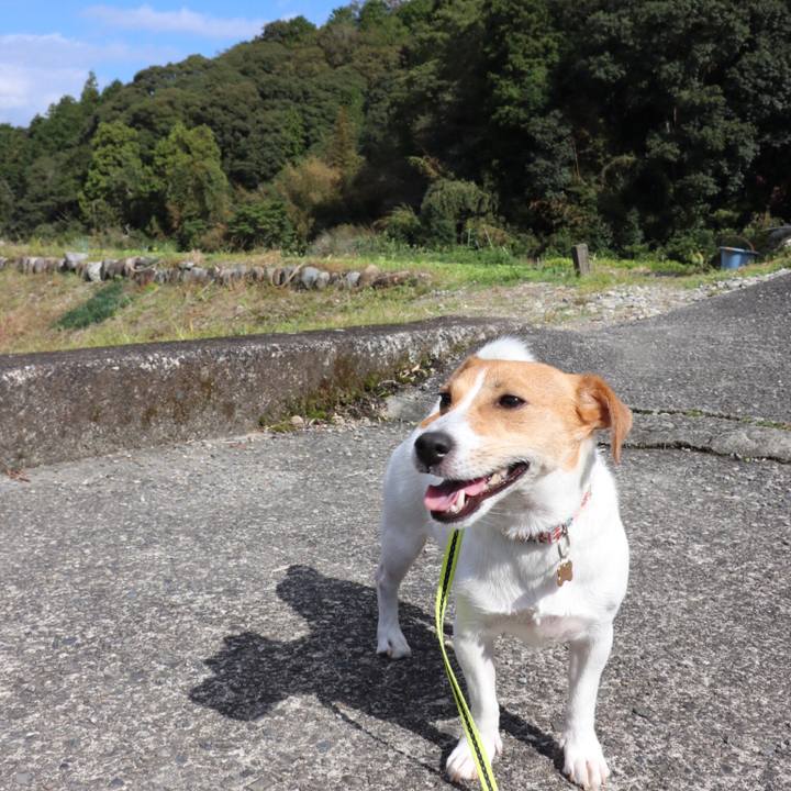 A481901f 5987 43e4 8ee5 73f54594c052 1540702637509