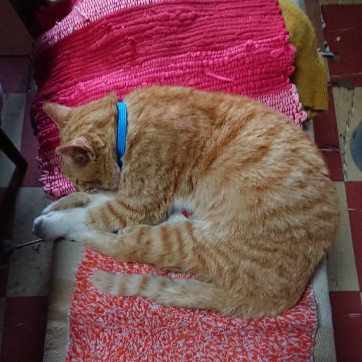 A482050f ff47 4c37 af6b e11e07f124e5 1555212187987