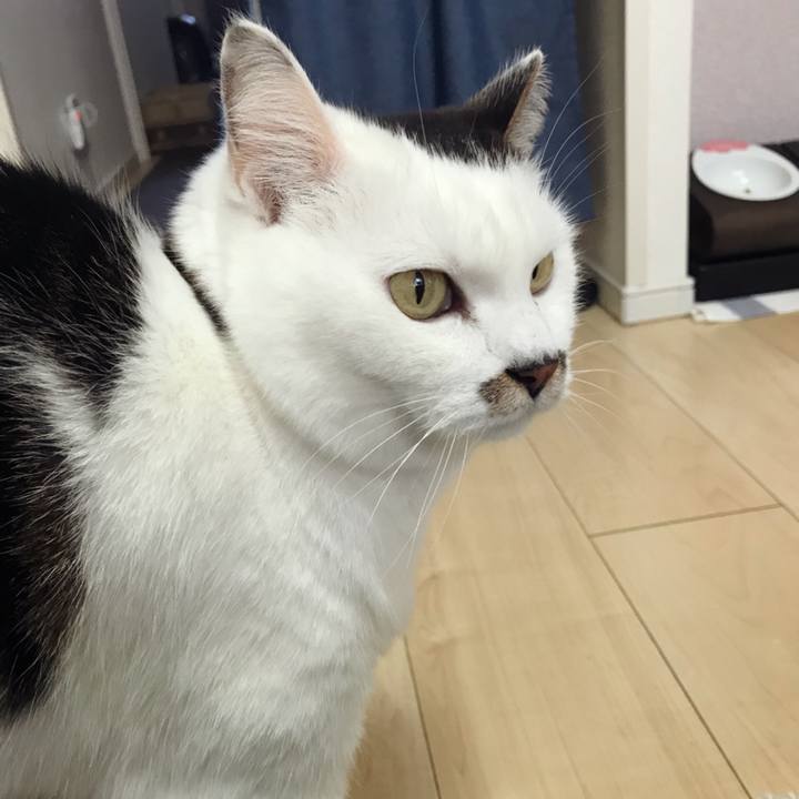 A4820a4c 5219 4022 bc80 1ef817105ae3 1581474785893