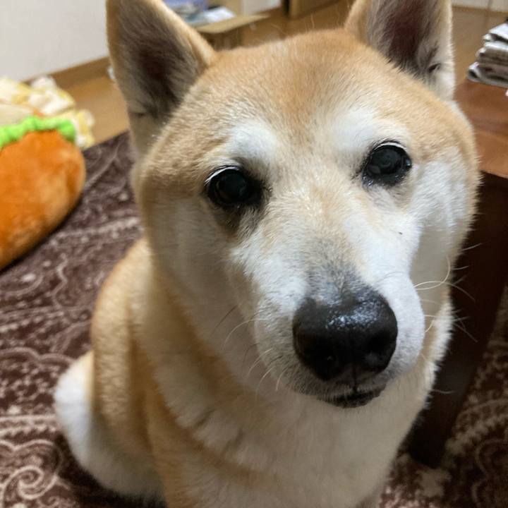 A4820f31 7263 425c 90c6 10853f889b40 1618914642972