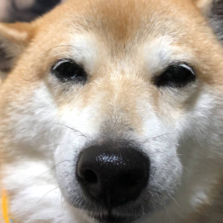 A482448a 8740 4f23 bc52 81945564c54a 1574340275960