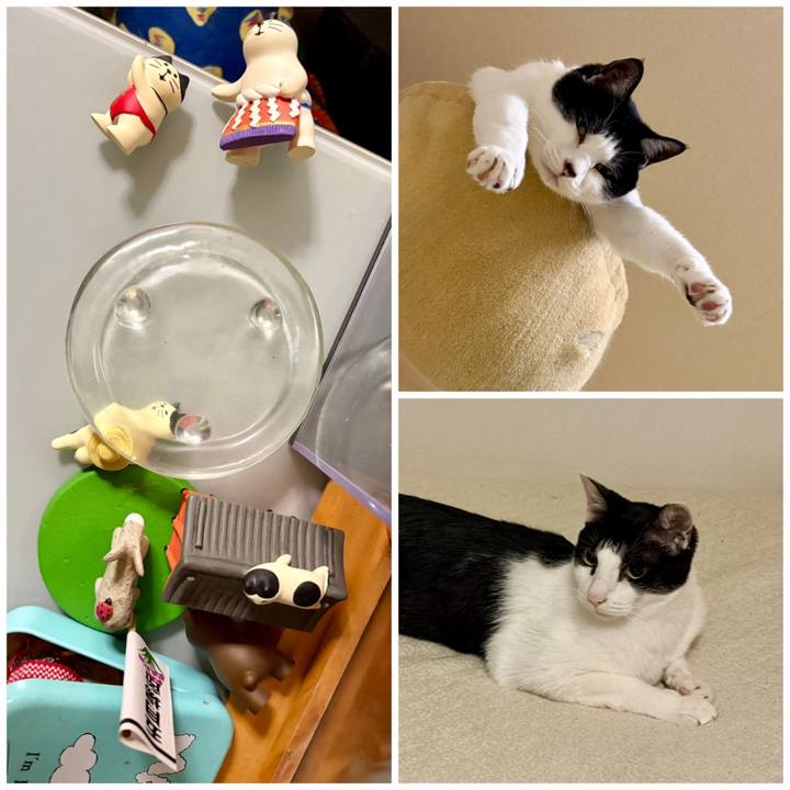 A4824781 2f86 4ff2 805a f3cebc64cc9d 1781880708510