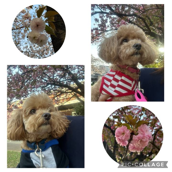 A4825459 af90 401d 91ac b0bca821e1d5 1713170951890