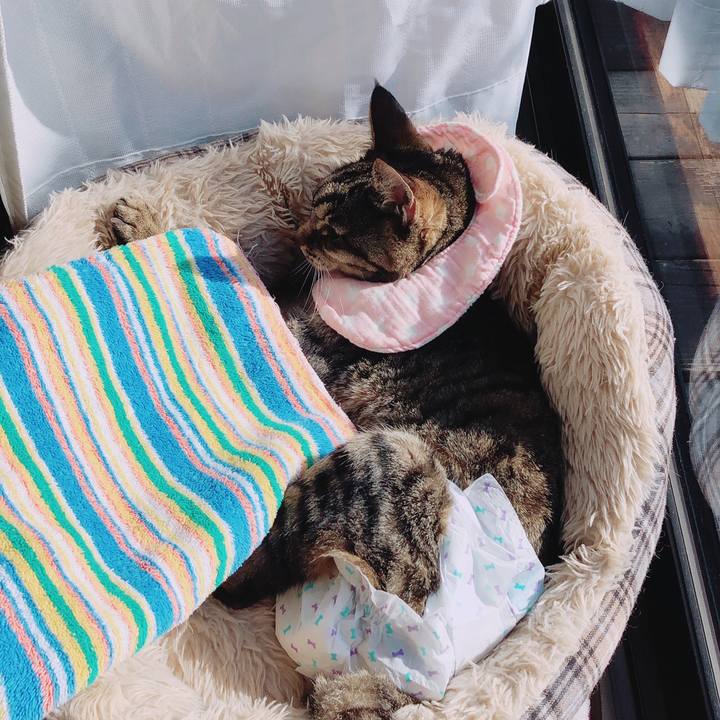 A4825794 cfec 4350 bfb1 be7e980d7f09 1543998043330