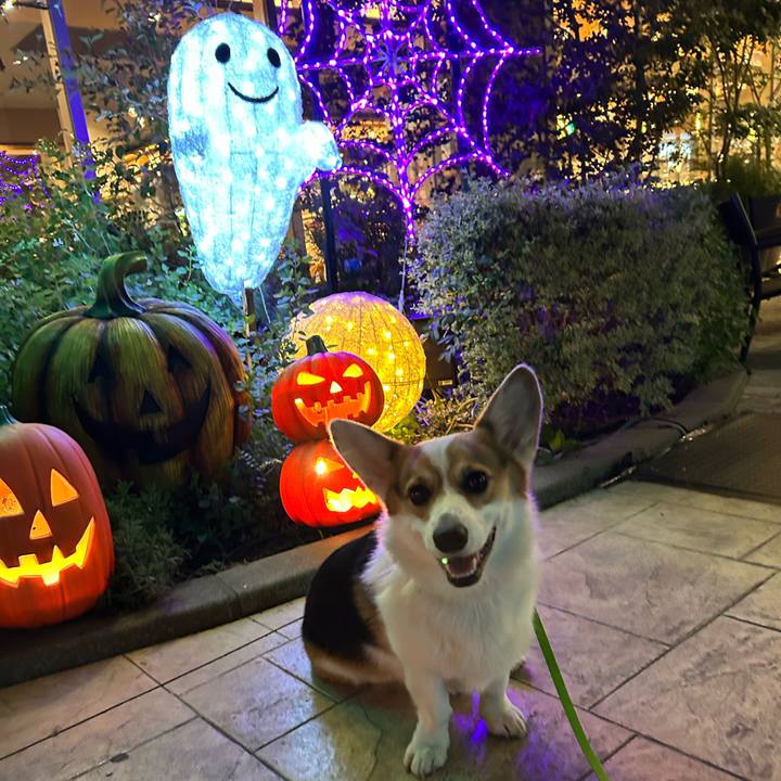 A48259ff f3f1 4089 9699 413452d9c0ca 1762361324342