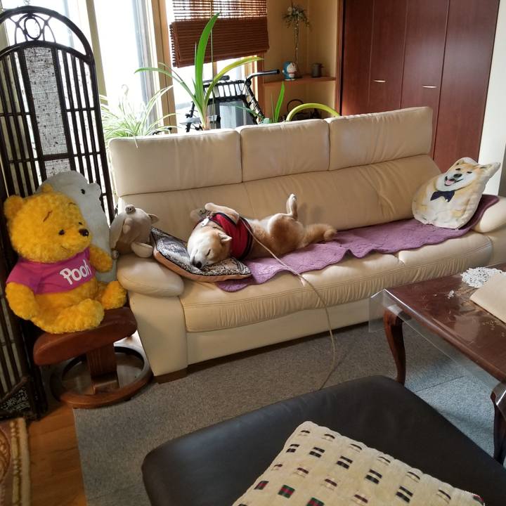 A4826806 65d2 4946 bca7 0d80a59e5f6c 1555022759390