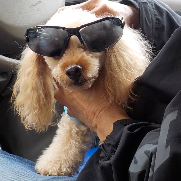 A482a4ee 43a5 4444 8109 ee55bb62fbf4 1624791159531