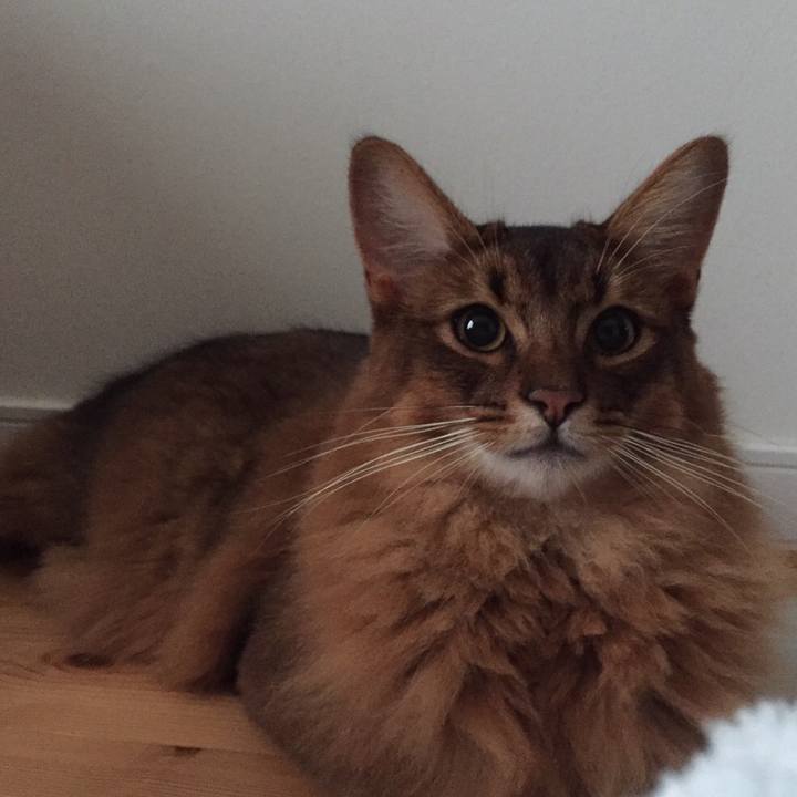 A482b3f9 f490 4b4f 997c f094b9db1b74 1599090157817